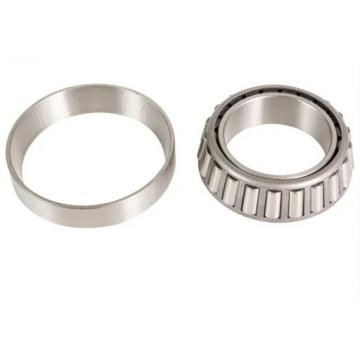 2.559 Inch | 65 Millimeter x 5.512 Inch | 140 Millimeter x 1.89 Inch | 48 Millimeter  CONSOLIDATED BEARING NU-2313E  Cylindrical Roller Bearings