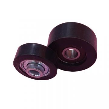 35 mm x 80 mm x 31 mm  FAG NU2307-E-TVP2 Cylindrical Roller Bearings